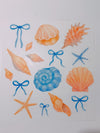 Shells and bows transfer