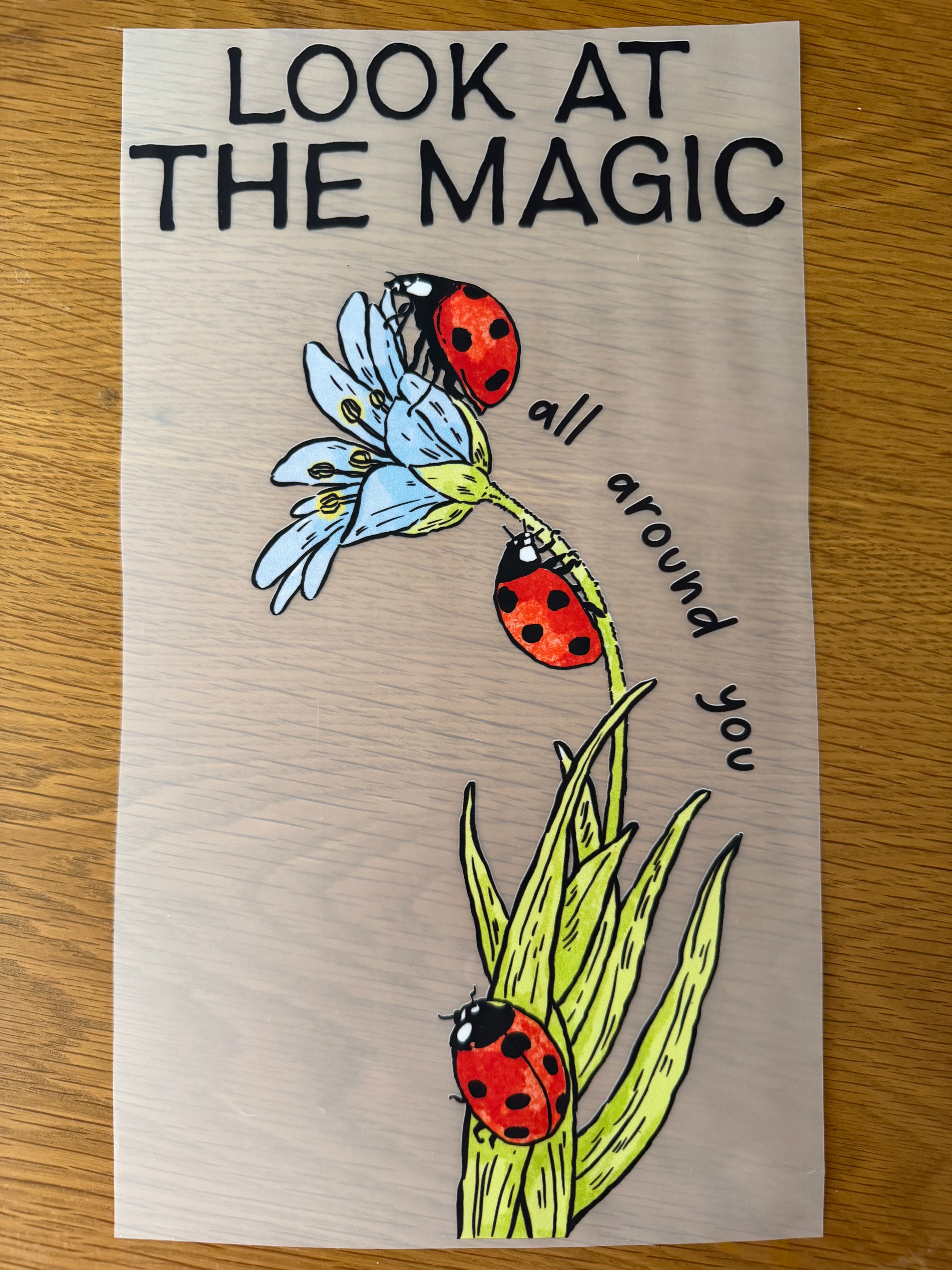 The magic transfer