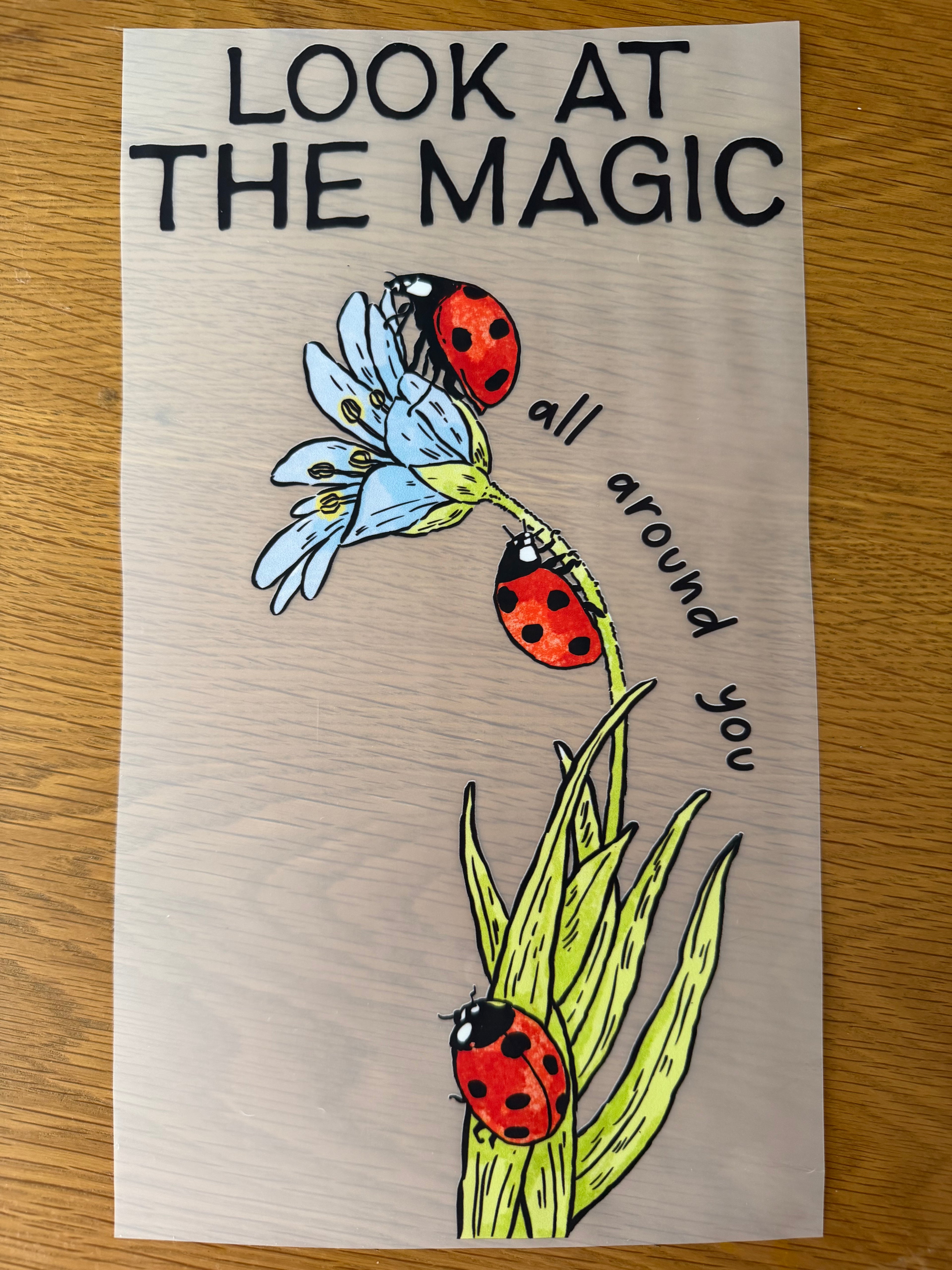 The magic transfer